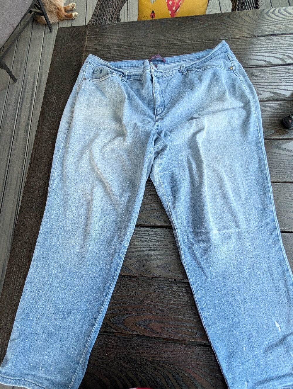 Women's Gloria Vanderbilt Amanda Straight Leg Jeans Size 20W